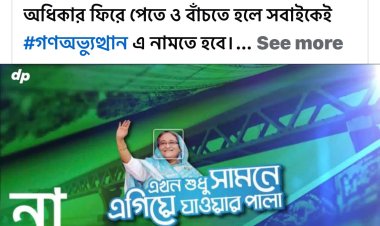 না এখন শুধু পালিয়ে যেতে হবে- গণঅভ্যুত্থান - ড. রাজু আহমেদ দিপু